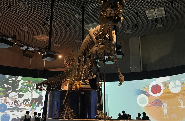 🐋NICE　MUSEUM🦖